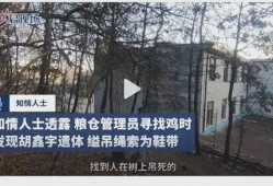 合肥庐州爆料事件最新,揭秘背后真相与争议焦点