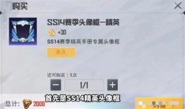 大爆料ss14最新手册,揭秘最新潮流趋势与时尚风向标