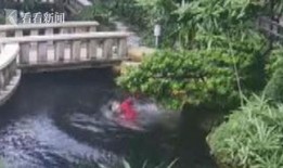 鱼塘爆料大全视频最新版,揭秘娱乐圈最新动态与幕后故事