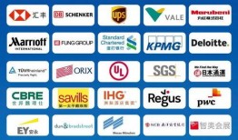 进博会最新爆料信息公布,前沿科技与全球合作新动态全解析”