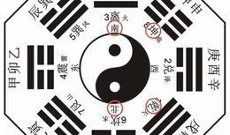 八卦爆料话术大全最新版,揭秘最新版神秘技巧与策略