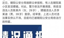 八卦爆料话术大全最新版,揭秘最新版神秘技巧与策略