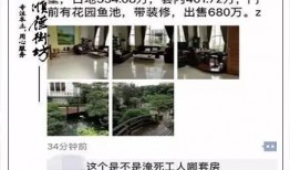 鱼塘爆料大全视频最新版,揭秘娱乐圈最新动态与幕后故事