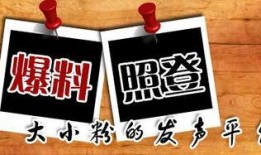 重庆陈先生最新爆料,揭秘背后惊人真相
