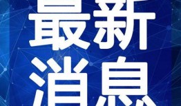 仙鱼最新爆料新闻报道视频,最新爆料新闻报道视频深度解析