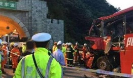 杭州高速野猪最新爆料事件,惊险瞬间，交通受阻紧急应对